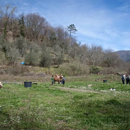 Agriturismo Fattoria Silverado * Castiglione Chiavarese